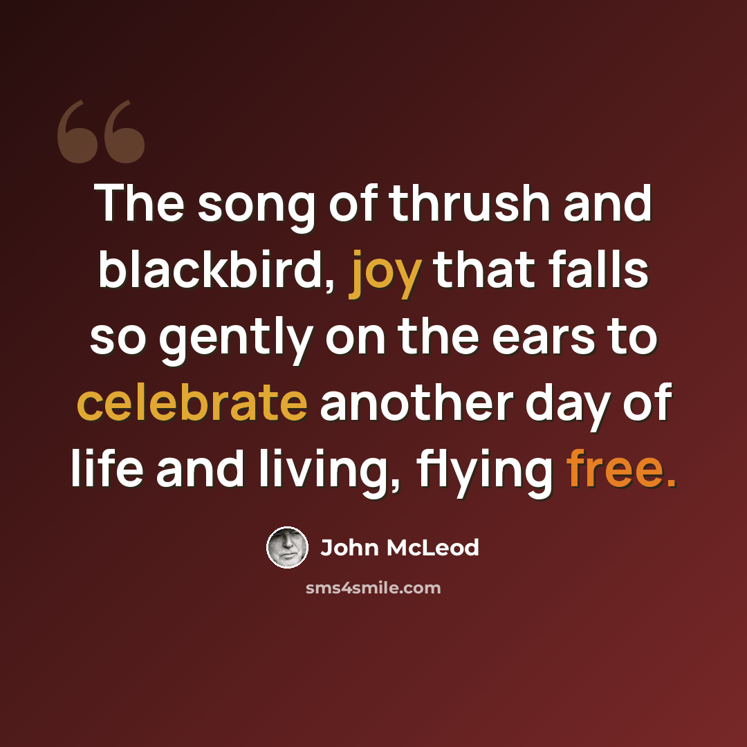 “The song of thrush and blackbird, joy that falls so gently on the ears to celebrate another day of life and living, flying free.” quote by John McLeod