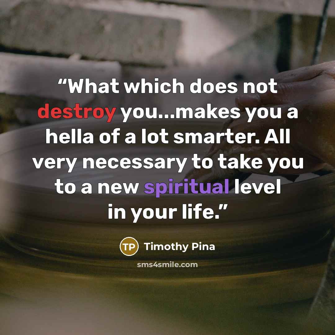 “What which does not destroy you...makes you a hella of a lot smarter. All very necessary to take you to a new spiritual level in your life.” quote by Timothy Pina