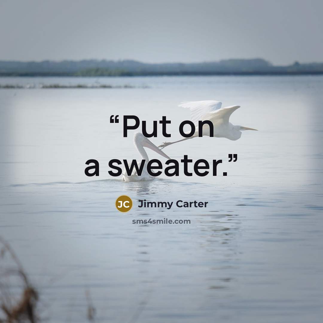 “Put on a sweater.” quote by Jimmy Carter