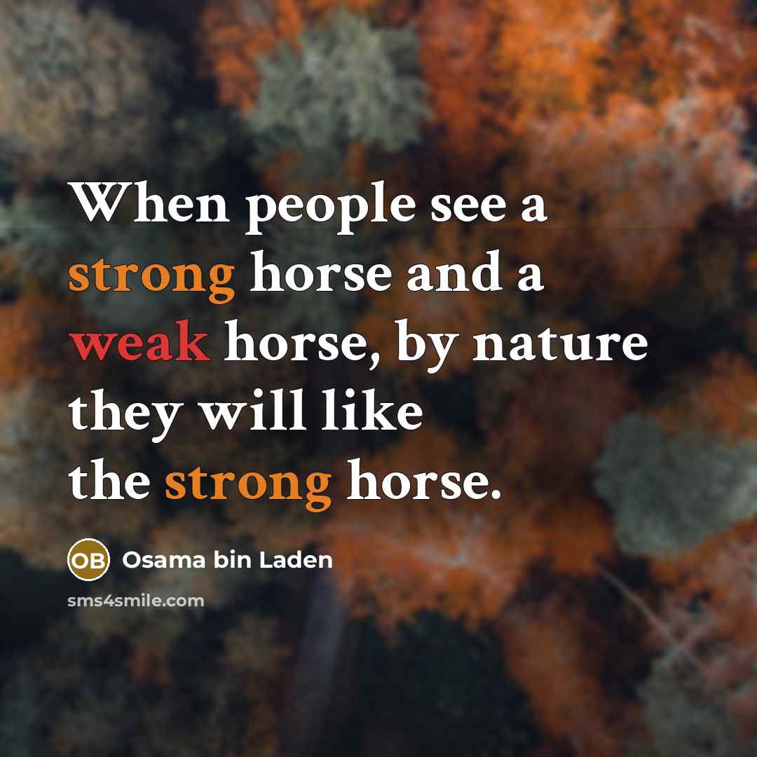 “When people see a strong horse and a weak horse, by nature they will like the strong horse.” quote by Osama bin Laden