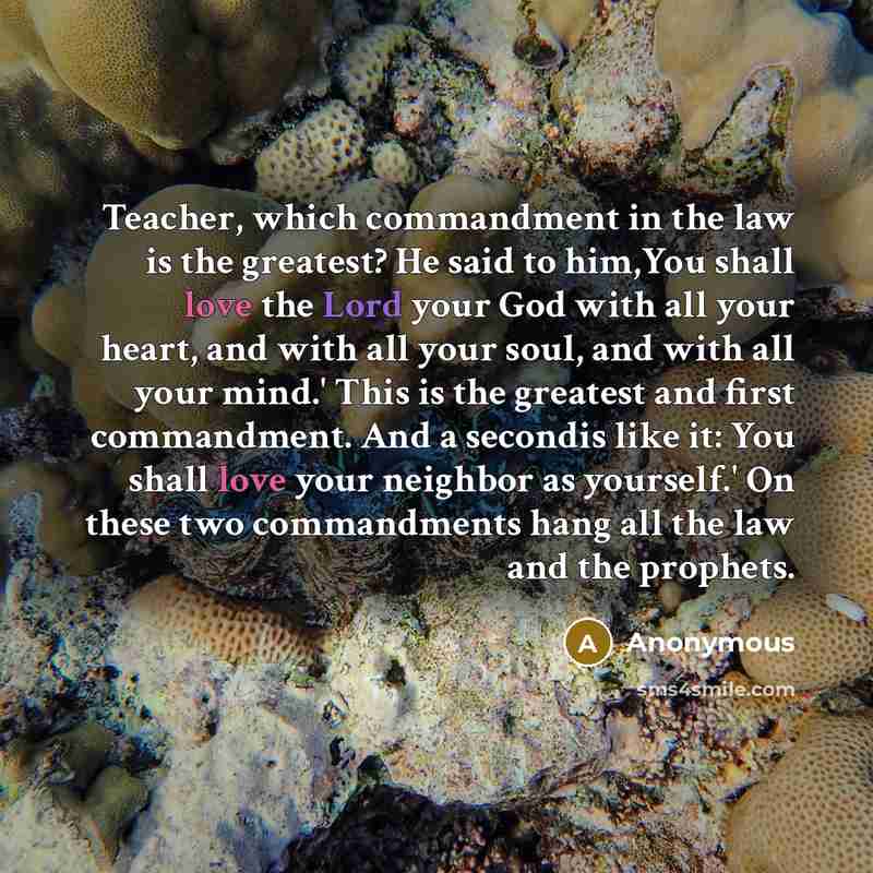 “Teacher, which commandment in the law is the greatest? He said to him,You shall love the Lord your God with all your heart, and with all your soul, and with all your mind.' This is the greatest and first commandment. And a secondis like it: You shall love your neighbor as yourself.' On these two…” quote by Anonymous