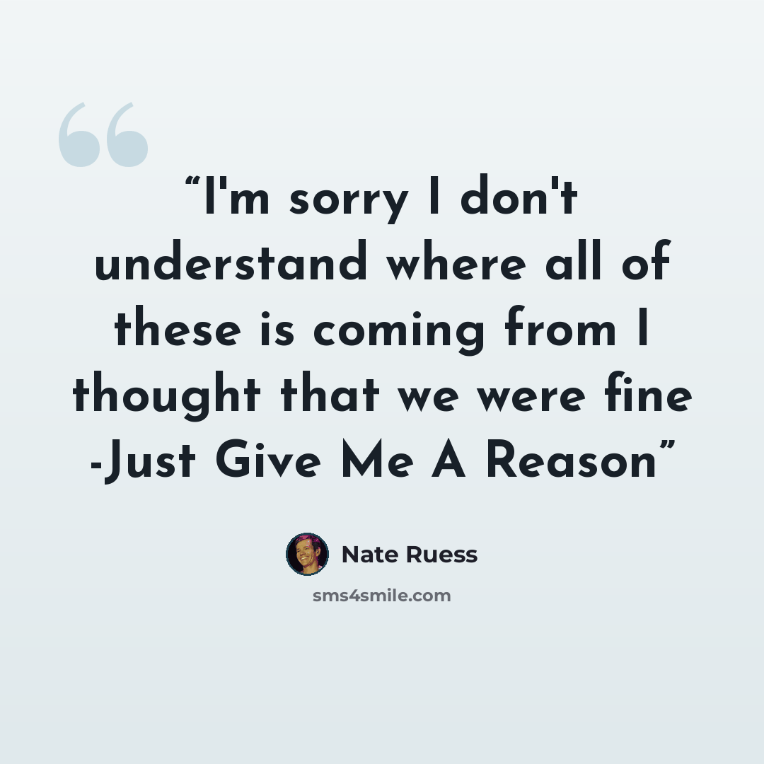 “I'm sorry I don't understand where all of these is coming from I thought that we were fine -Just Give Me A Reason” quote by Nate Ruess