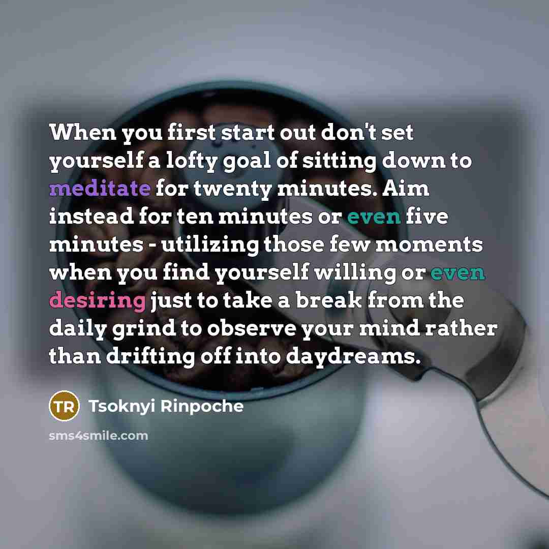 “When you first start out don't set yourself a lofty goal of sitting down to meditate for twenty minutes. Aim instead for ten minutes or even five minutes - utilizing those few moments when you find yourself willing or even desiring just to take a break from the daily grind to observe your mind…” quote by Tsoknyi Rinpoche
