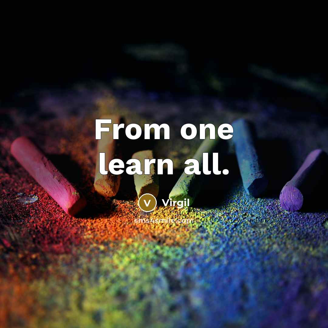 “From one learn all.” quote by Virgil