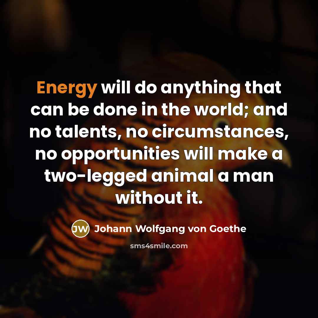 “Energy will do anything that can be done in the world; and no talents, no circumstances, no opportunities will make a two-legged animal a man without it.” quote by Johann Wolfgang von Goethe