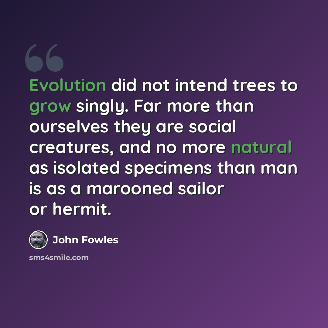“Evolution did not intend trees to grow singly. Far more than ourselves they are social creatures, and no more natural as isolated specimens than man is as a marooned sailor or hermit.” quote by John Fowles