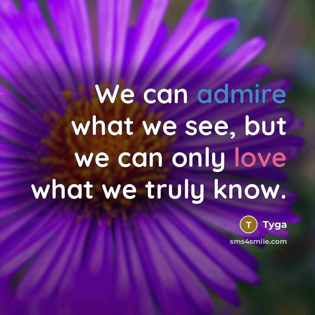 “We can admire what we see, but we can only love what we truly know.” quote by Tyga