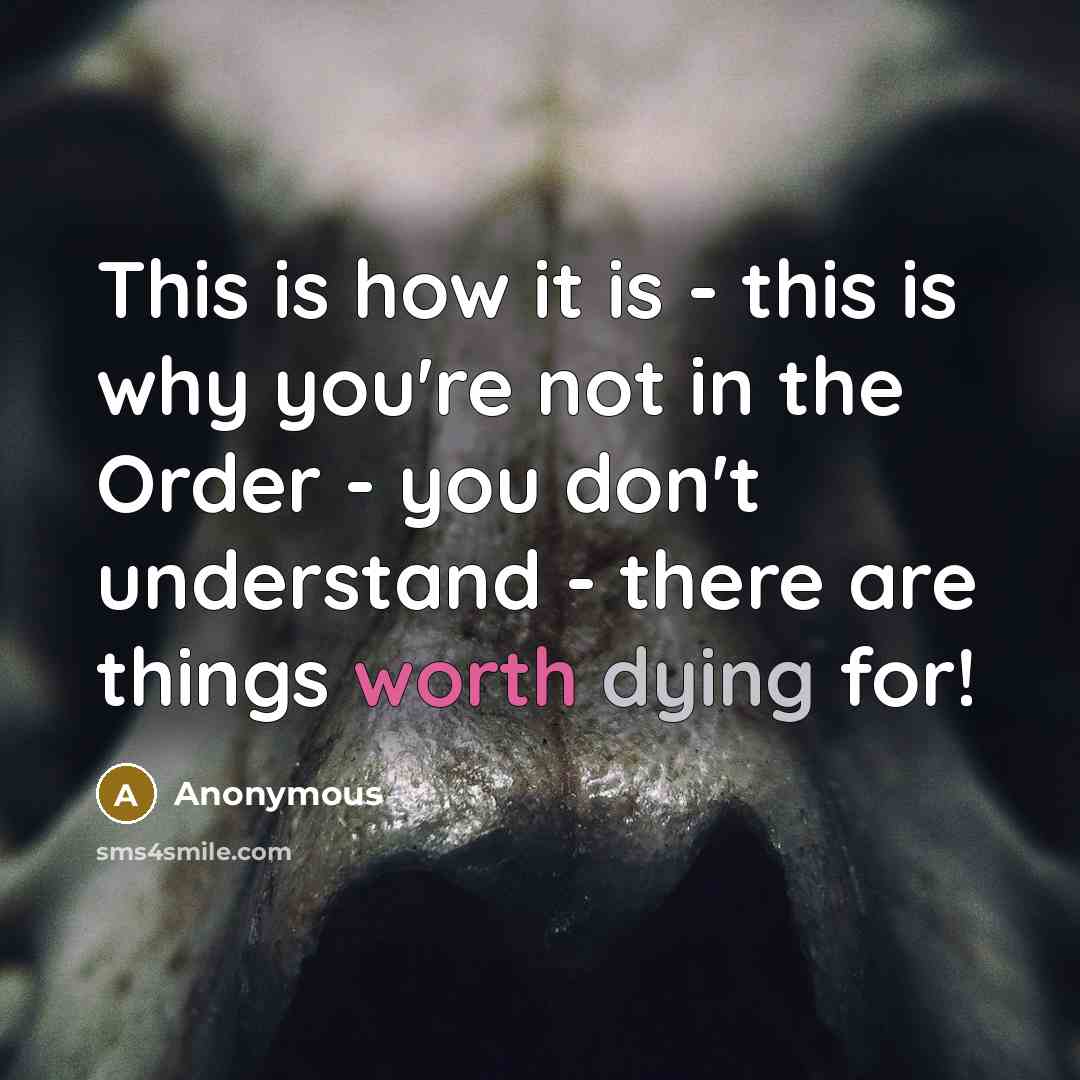 “This is how it is - this is why you're not in the Order - you don't understand - there are things worth dying for!” quote by Anonymous