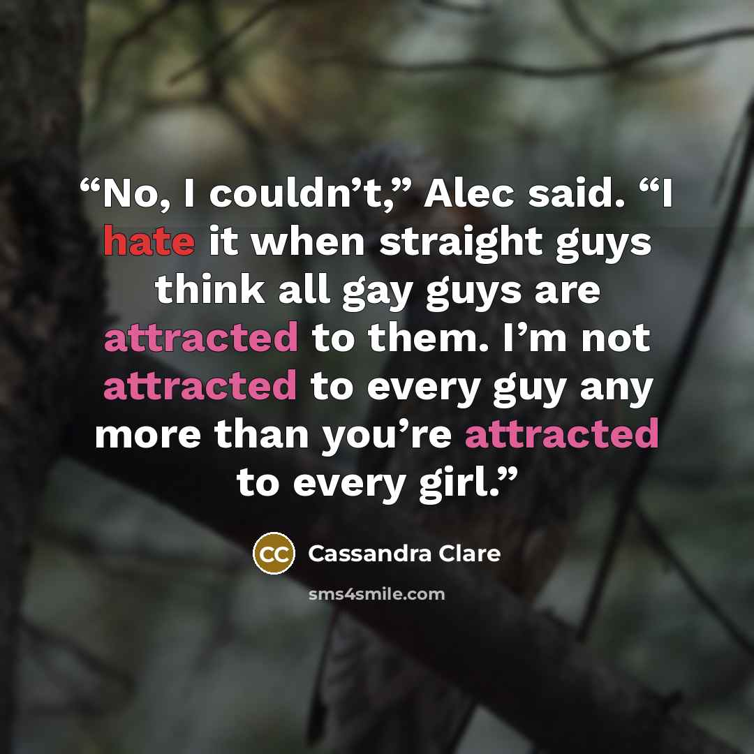 “No, I couldn’t,” Alec said. “I hate it when straight guys think all gay guys are attracted to them. I’m not attracted to every guy any more than you’re attracted to every girl.” quote by Cassandra Clare