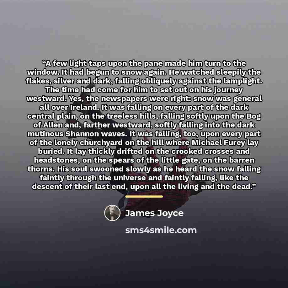 “A few light taps upon the pane made him turn to the window. It had begun to snow again. He watched sleepily the flakes, silver and dark, falling obliquely against the lamplight. The time had come for him to set out on his journey westward. Yes, the newspapers were right: snow was general all over…” quote by James Joyce