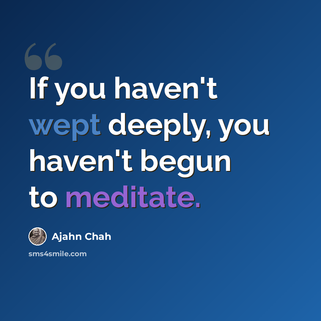 “If you haven't wept deeply, you haven't begun to meditate.” quote by Ajahn Chah