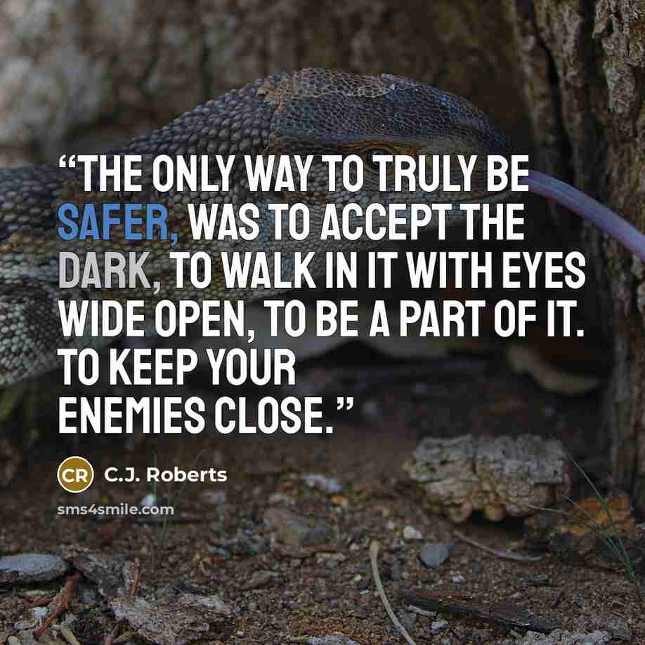“The only way to truly be safer, was to accept the dark, to walk in it with eyes wide open, to be a part of it. To keep your enemies close.” quote by C.J. Roberts