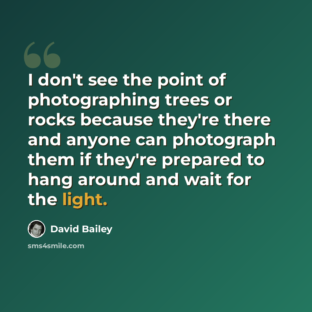 “I don't see the point of photographing trees or rocks because they're there and anyone can photograph them if they're prepared to hang around and wait for the light.” quote by David Bailey