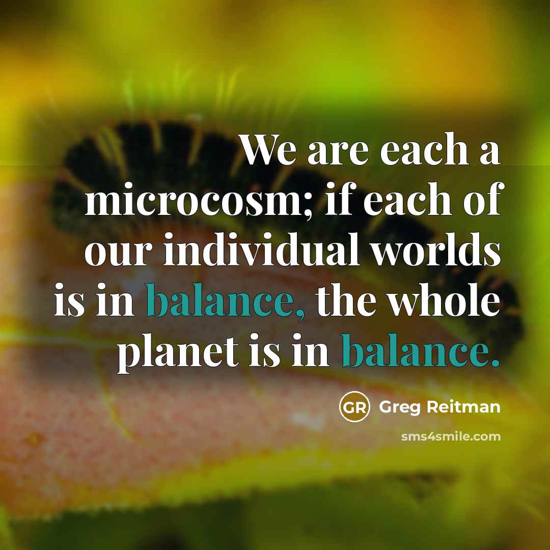 “We are each a microcosm; if each of our individual worlds is in balance, the whole planet is in balance.” quote by Greg Reitman