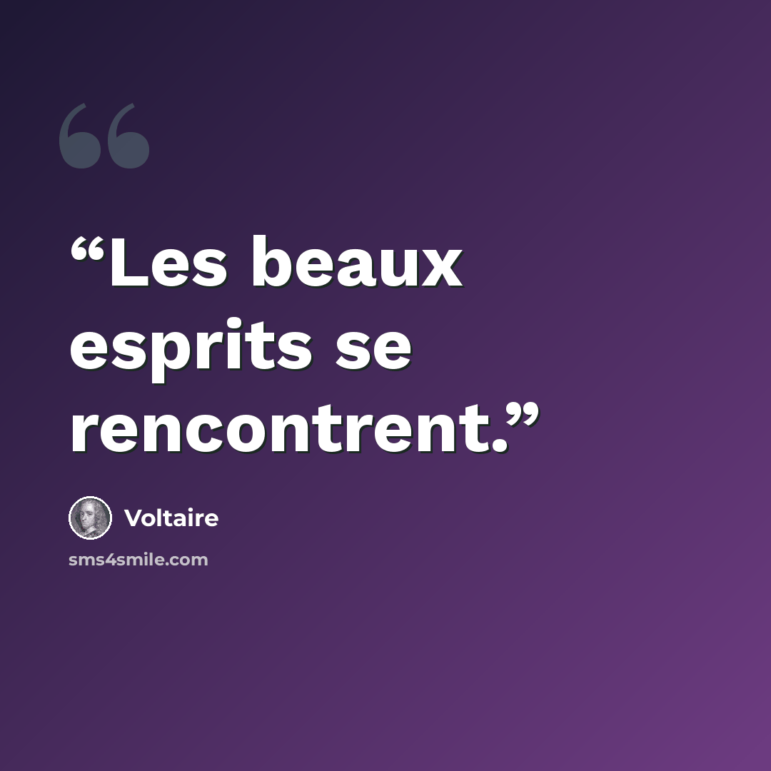 “Les beaux esprits se rencontrent.” quote by Voltaire