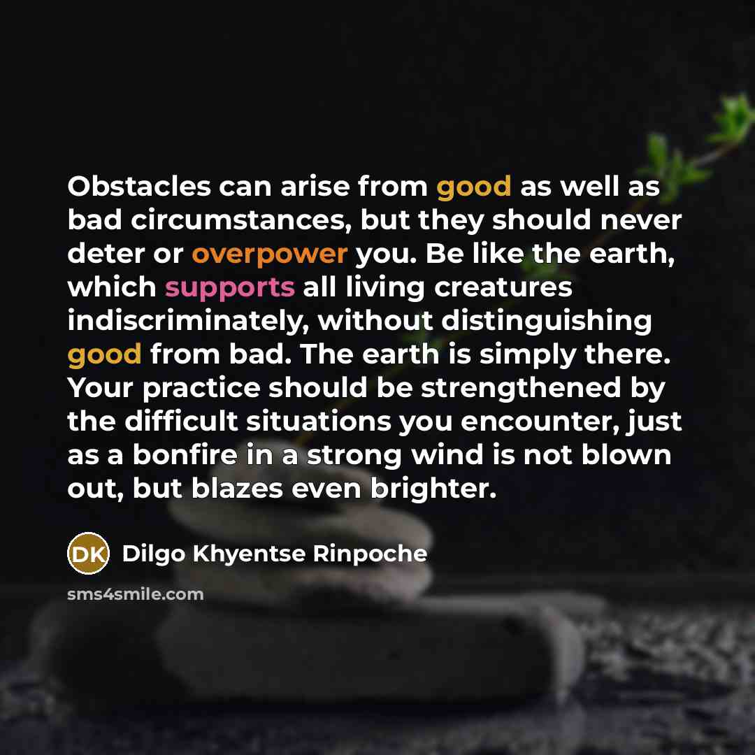 “Obstacles can arise from good as well as bad circumstances, but they should never deter or overpower you. Be like the earth, which supports all living creatures indiscriminately, without distinguishing good from bad. The earth is simply there. Your practice should be strengthened by the difficult…” quote by Dilgo Khyentse Rinpoche