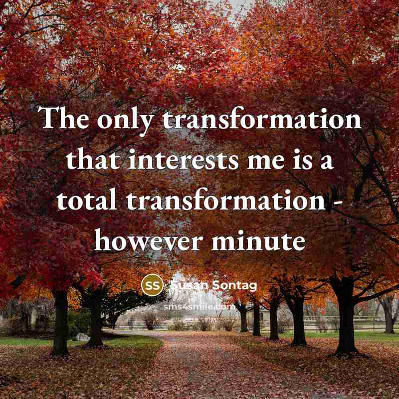 “The only transformation that interests me is a total transformation - however minute” quote by Susan Sontag