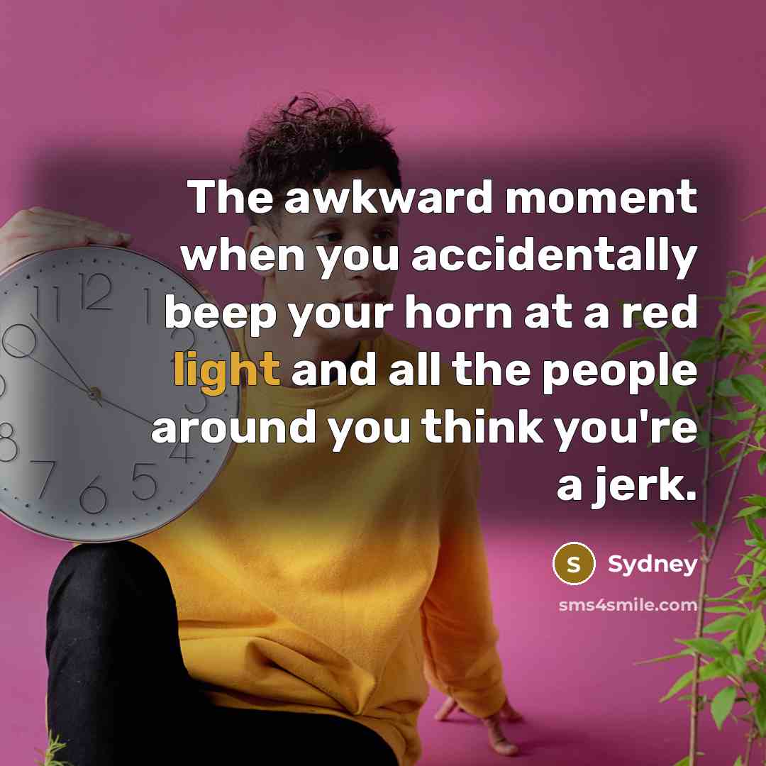 “The awkward moment when you accidentally beep your horn at a red light and all the people around you think you're a jerk.” quote by Sydney