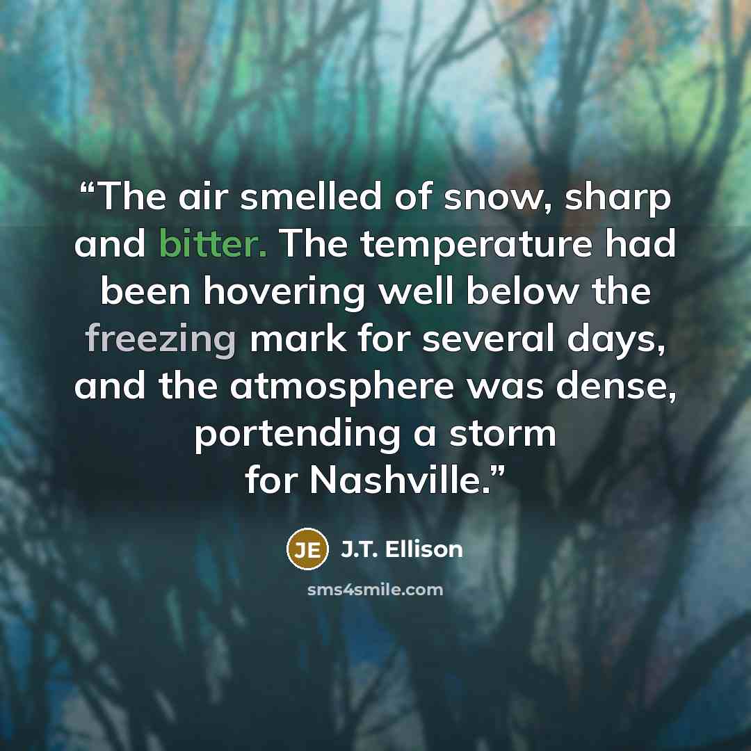 “The air smelled of snow, sharp and bitter. The temperature had been hovering well below the freezing mark for several days, and the atmosphere was dense, portending a storm for Nashville.” quote by J.T. Ellison