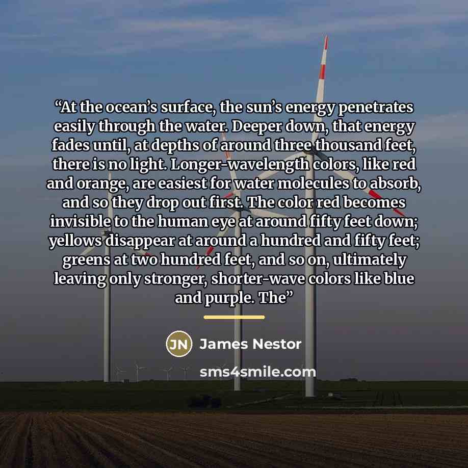“At the ocean’s surface, the sun’s energy penetrates easily through the water. Deeper down, that energy fades until, at depths of around three thousand feet, there is no light. Longer-wavelength colors, like red and orange, are easiest for water molecules to absorb, and so they drop out first. The…” quote by James Nestor
