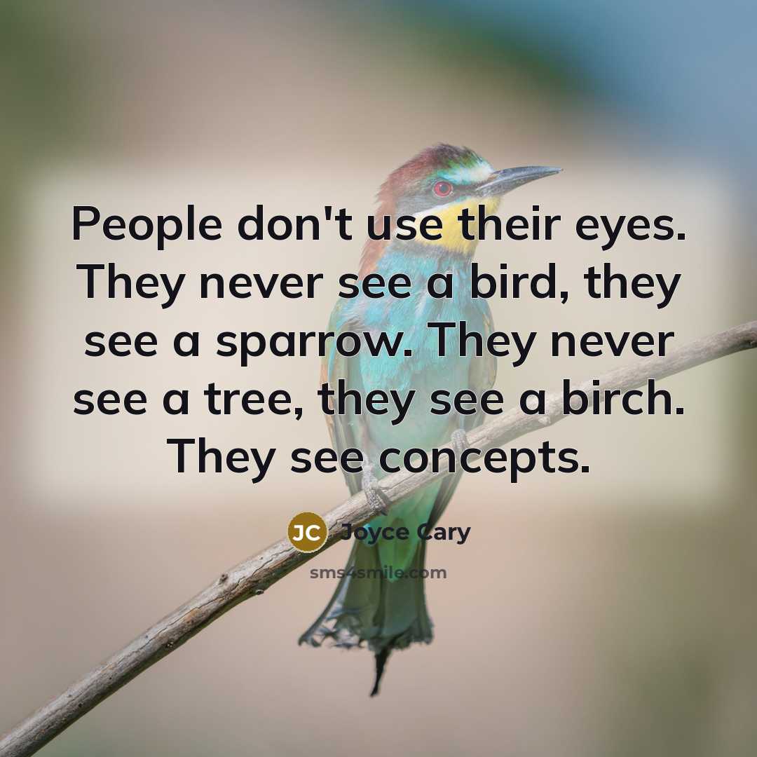 “People don't use their eyes. They never see a bird, they see a sparrow. They never see a tree, they see a birch. They see concepts.” quote by Joyce Cary