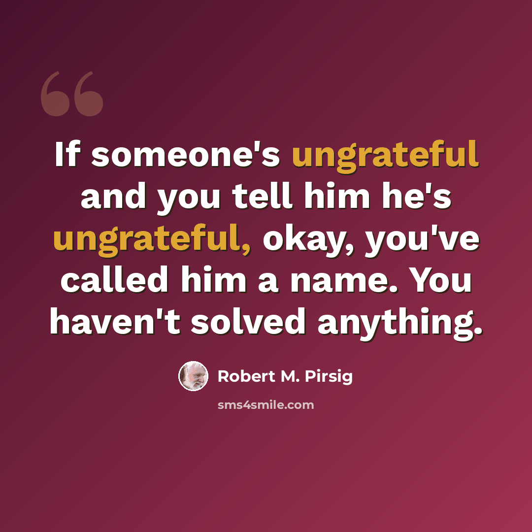 “If someone's ungrateful and you tell him he's ungrateful, okay, you've called him a name. You haven't solved anything.” quote by Robert M. Pirsig
