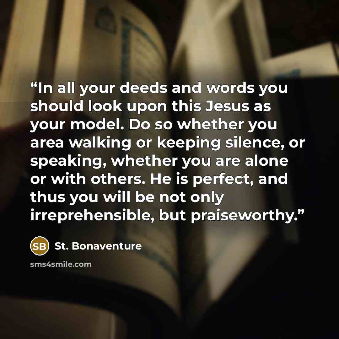 “In all your deeds and words you should look upon this Jesus as your model. Do so whether you area walking or keeping silence, or speaking, whether you are alone or with others. He is perfect, and thus you will be not only irreprehensible, but praiseworthy.” quote by St. Bonaventure