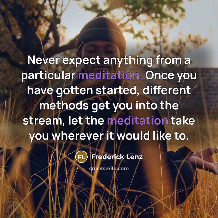 “Never expect anything from a particular meditation. Once you have gotten started, different methods get you into the stream, let the meditation take you wherever it would like to.” quote by Frederick Lenz