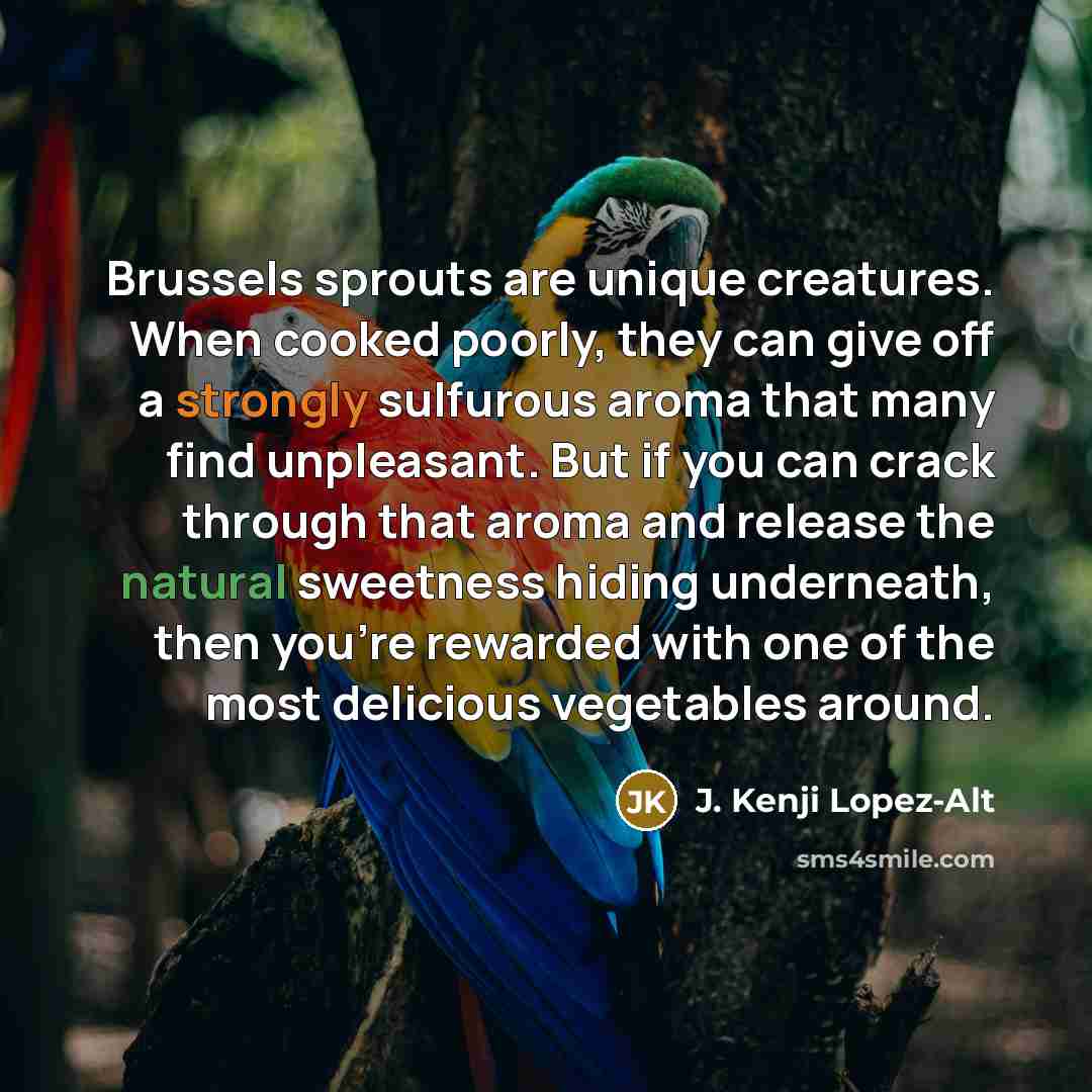 “Brussels sprouts are unique creatures. When cooked poorly, they can give off a strongly sulfurous aroma that many find unpleasant. But if you can crack through that aroma and release the natural sweetness hiding underneath, then you're rewarded with one of the most delicious vegetables around.” quote by J. Kenji Lopez-Alt