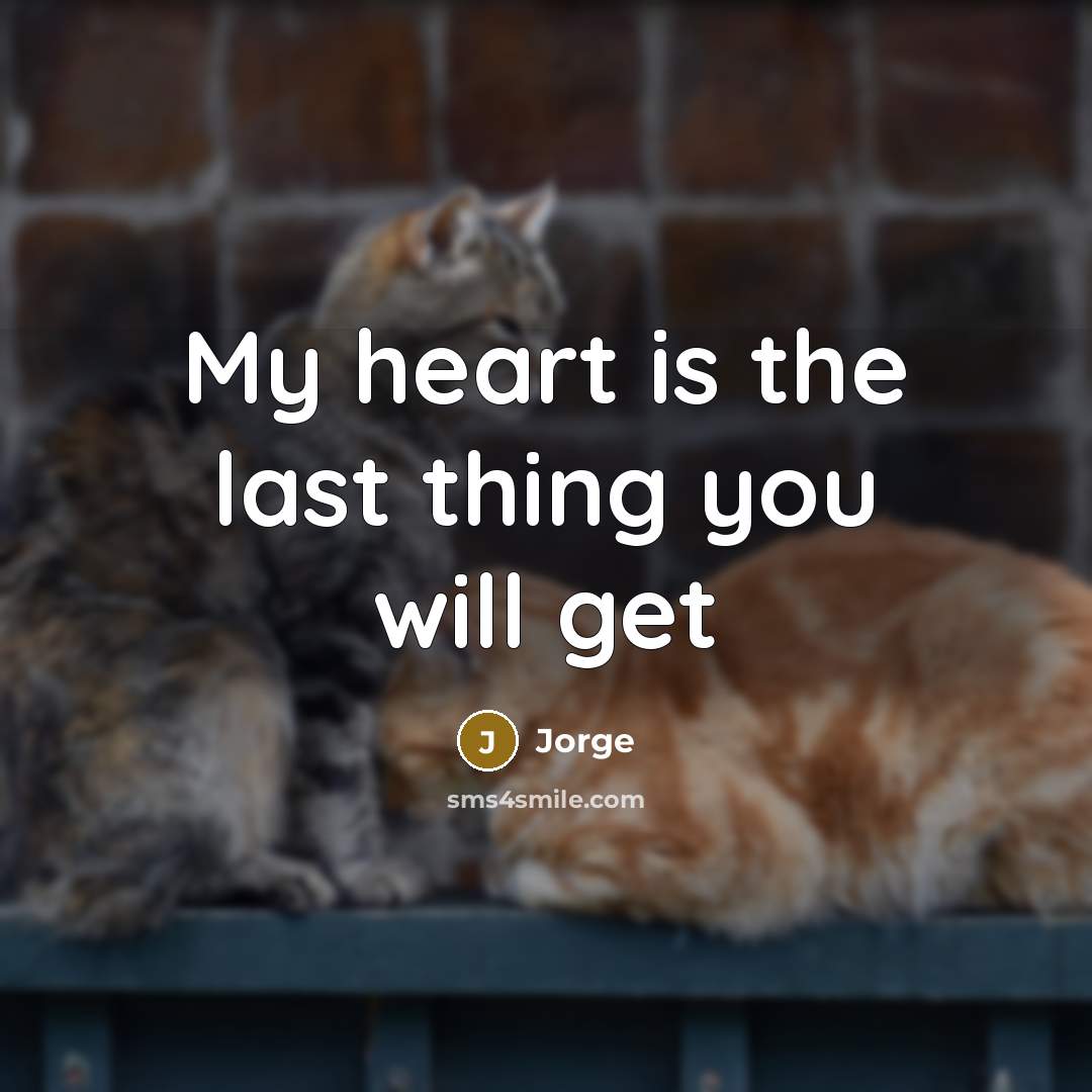 “My heart is the last thing you will get” quote by Jorge