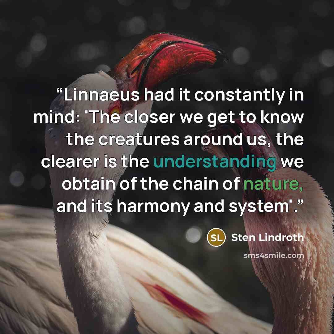 “Linnaeus had it constantly in mind: 'The closer we get to know the creatures around us, the clearer is the understanding we obtain of the chain of nature, and its harmony and system'.” quote by Sten Lindroth