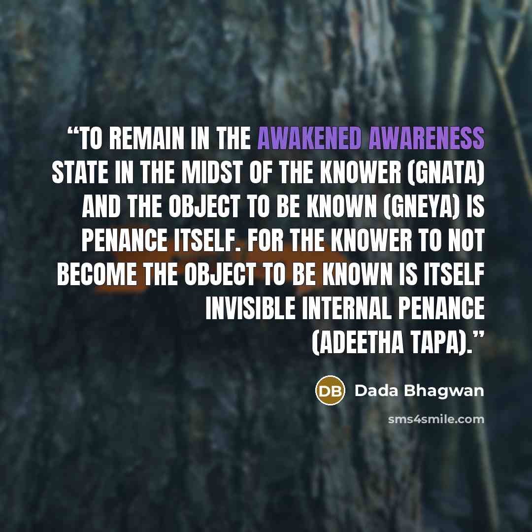 “To remain in the awakened awareness state in the midst of the Knower (Gnata) and the object to be known (gneya) is penance itself. For the Knower to not become the object to be known is itself invisible internal penance (adeetha tapa).” quote by Dada Bhagwan