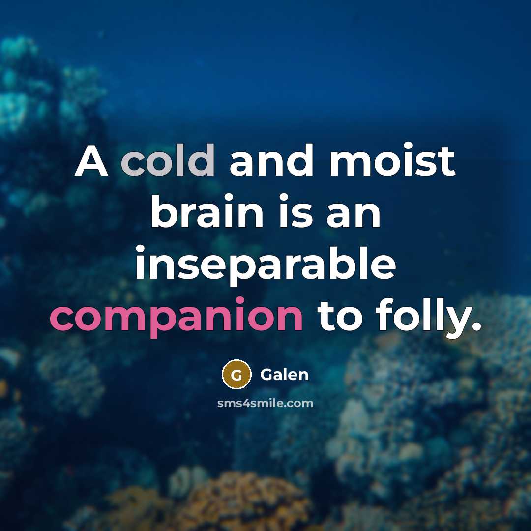 “A cold and moist brain is an inseparable companion to folly.” quote by Galen