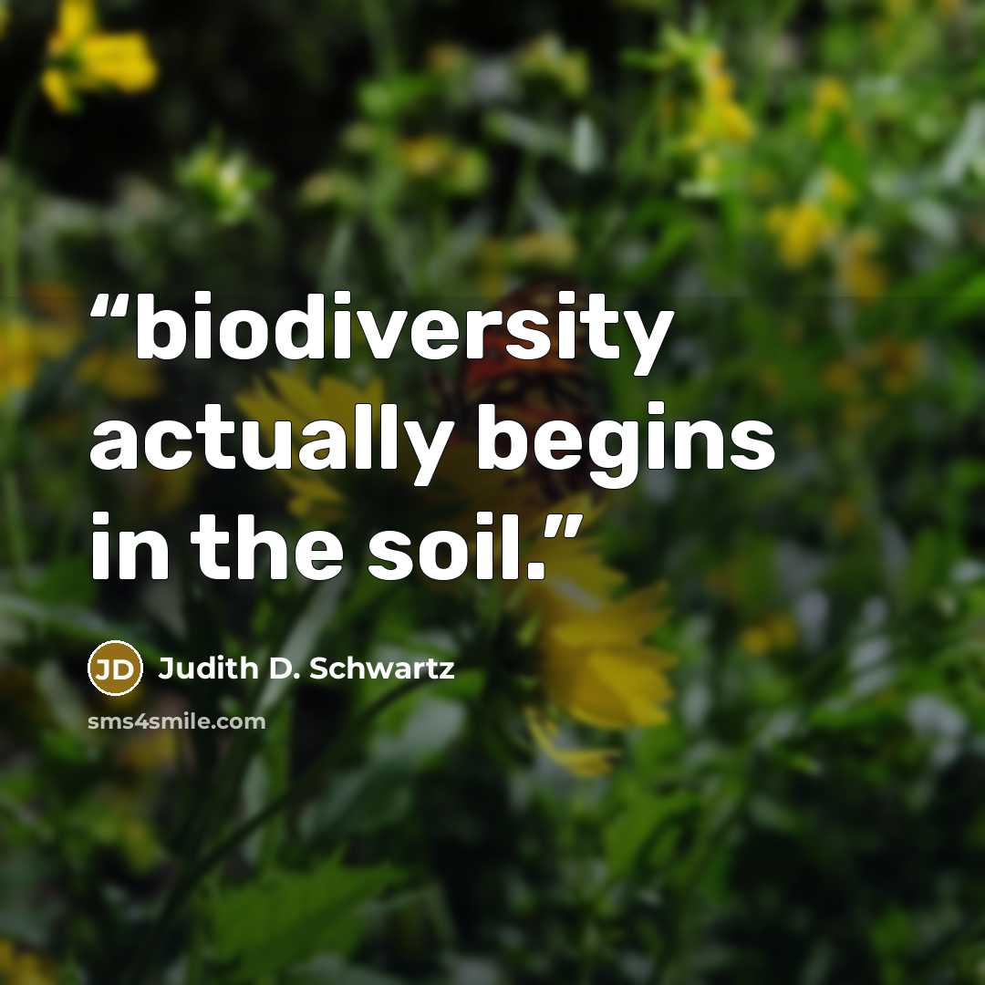 “biodiversity actually begins in the soil.” quote by Judith D. Schwartz