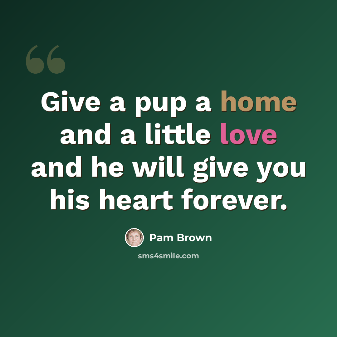 “Give a pup a home and a little love and he will give you his heart forever.” quote by Pam Brown