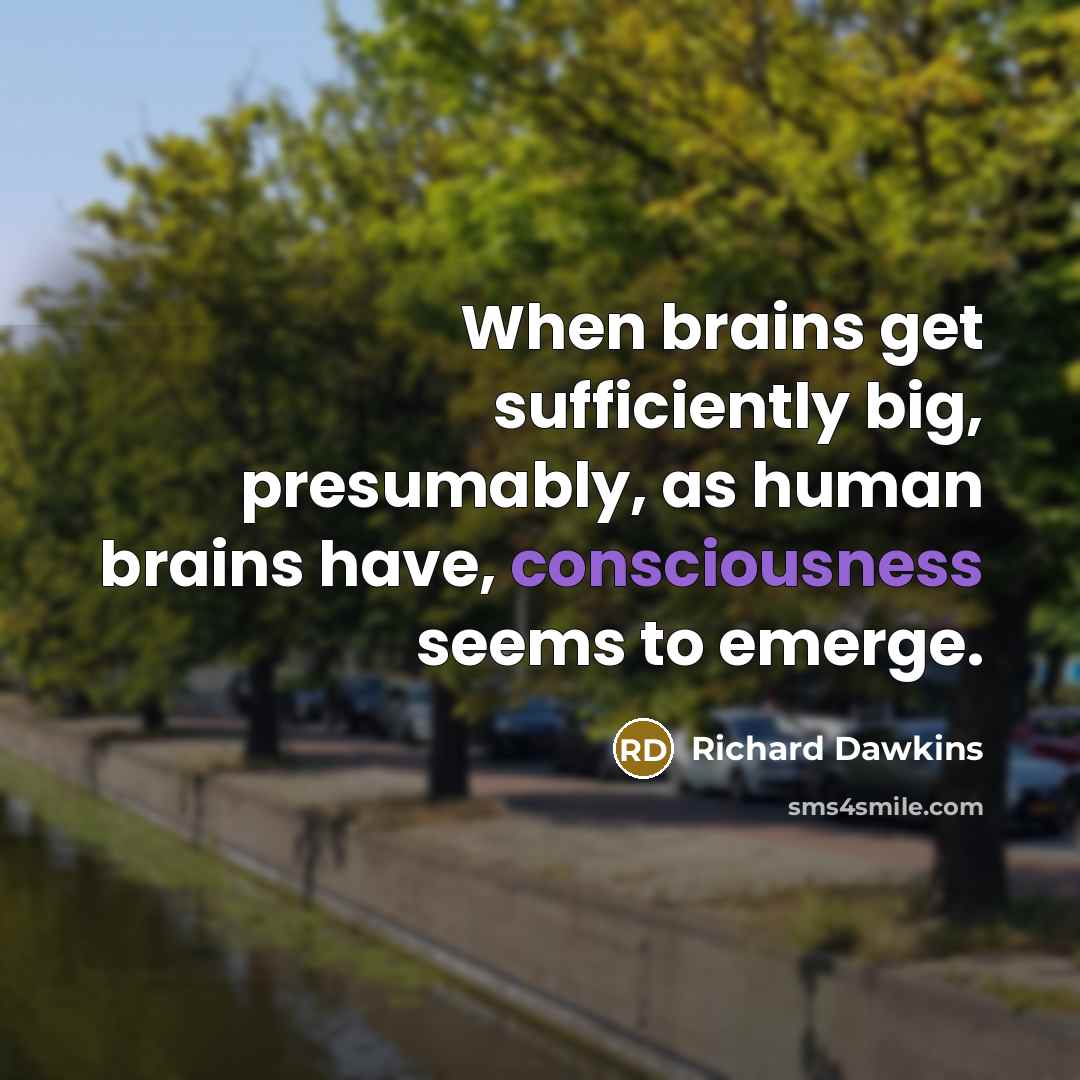 “When brains get sufficiently big, presumably, as human brains have, consciousness seems to emerge.” quote by Richard Dawkins