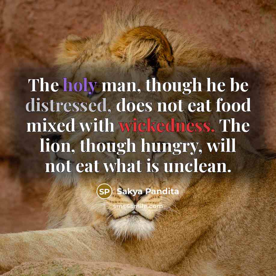 “The holy man, though he be distressed, does not eat food mixed with wickedness. The lion, though hungry, will not eat what is unclean.” quote by Sakya Pandita