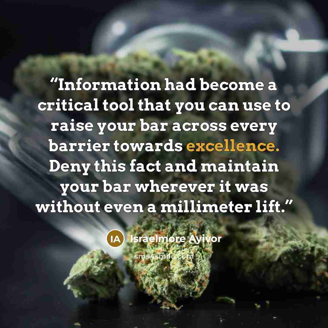 “Information had become a critical tool that you can use to raise your bar across every barrier towards excellence. Deny this fact and maintain your bar wherever it was without even a millimeter lift.” quote by Israelmore Ayivor