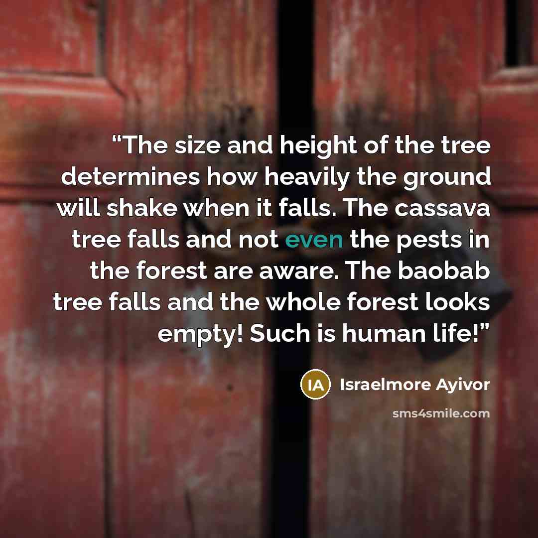 “The size and height of the tree determines how heavily the ground will shake when it falls. The cassava tree falls and not even the pests in the forest are aware. The baobab tree falls and the whole forest looks empty! Such is human life!” quote by Israelmore Ayivor