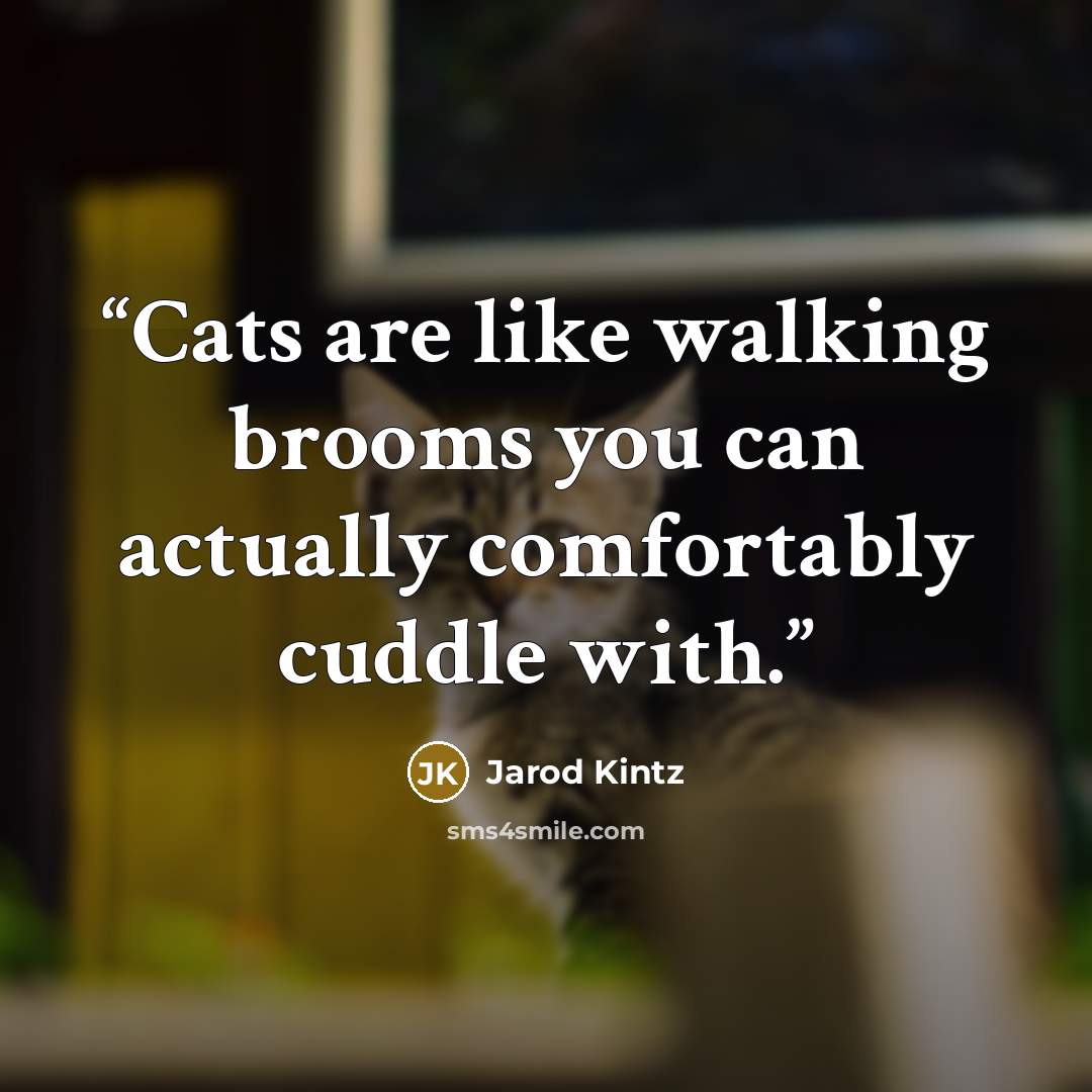 “Cats are like walking brooms you can actually comfortably cuddle with.” quote by Jarod Kintz