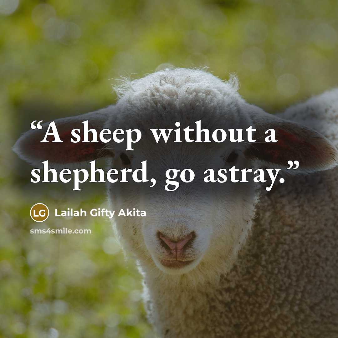 “A sheep without a shepherd, go astray.” quote by Lailah Gifty Akita