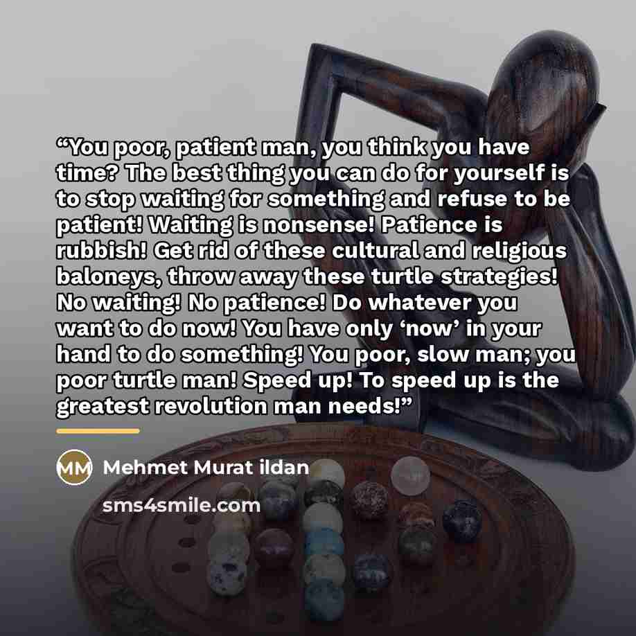 “You poor, patient man, you think you have time? The best thing you can do for yourself is to stop waiting for something and refuse to be patient! Waiting is nonsense! Patience is rubbish! Get rid of these cultural and religious baloneys, throw away these turtle strategies! No waiting! No patience!…” quote by Mehmet Murat ildan