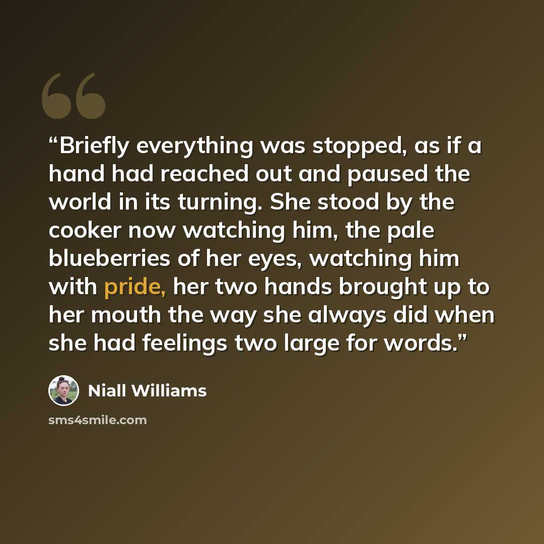 “Briefly everything was stopped, as if a hand had reached out and paused the world in its turning. She stood by the cooker now watching him, the pale blueberries of her eyes, watching him with pride, her two hands brought up to her mouth the way she always did when she had feelings two large for…” quote by Niall Williams