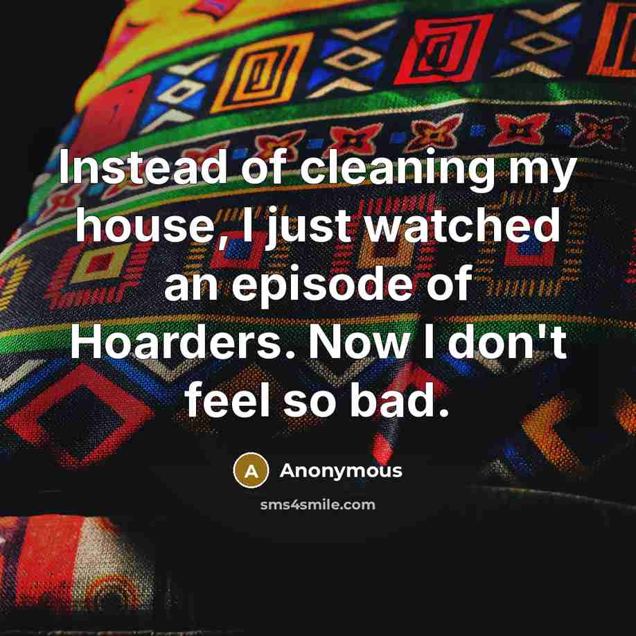 “Instead of cleaning my house, I just watched an episode of Hoarders. Now I don't feel so bad.” quote by Anonymous