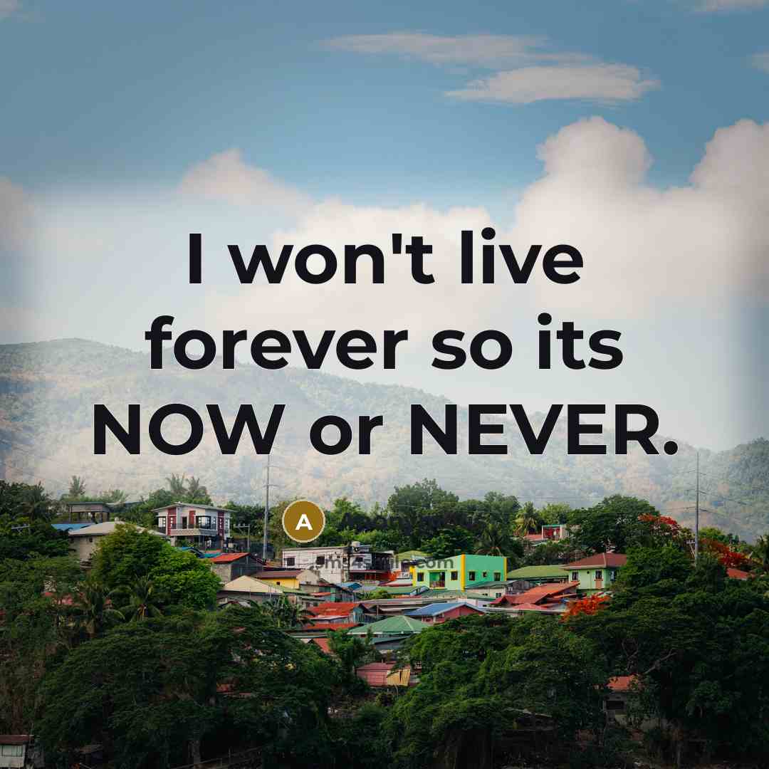 “I won't live forever so its NOW or NEVER.” quote by Anonymous