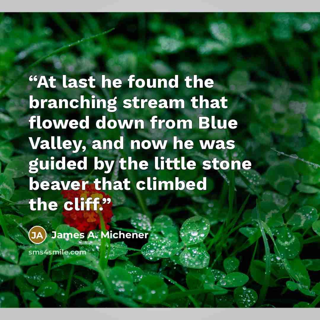 “At last he found the branching stream that flowed down from Blue Valley, and now he was guided by the little stone beaver that climbed the cliff.” quote by James A. Michener