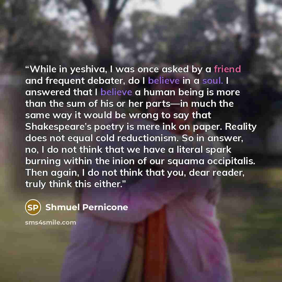“While in yeshiva, I was once asked by a friend and frequent debater, do I believe in a soul. I answered that I believe a human being is more than the sum of his or her parts—in much the same way it would be wrong to say that Shakespeare’s poetry is mere ink on paper. Reality does not equal cold…” quote by Shmuel Pernicone