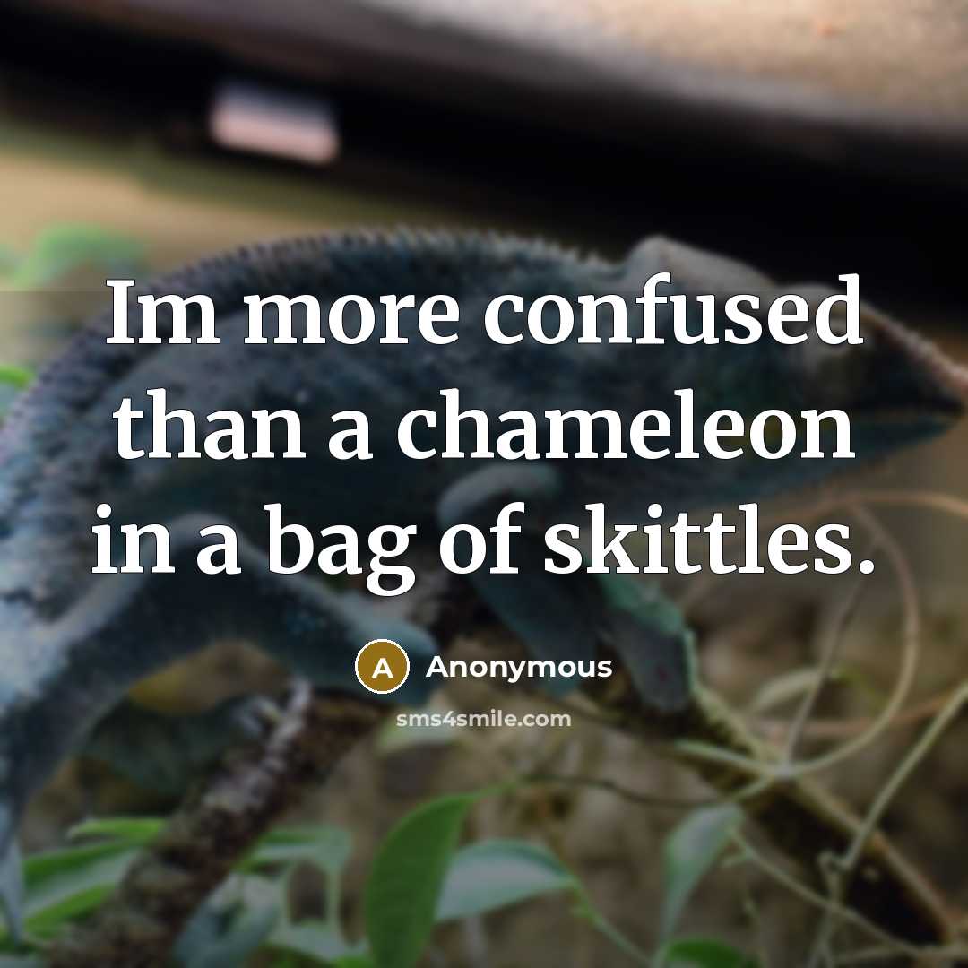 “Im more confused than a chameleon in a bag of skittles.” quote by Anonymous