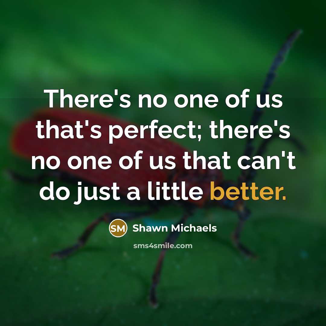 “There's no one of us that's perfect; there's no one of us that can't do just a little better.” quote by Shawn Michaels