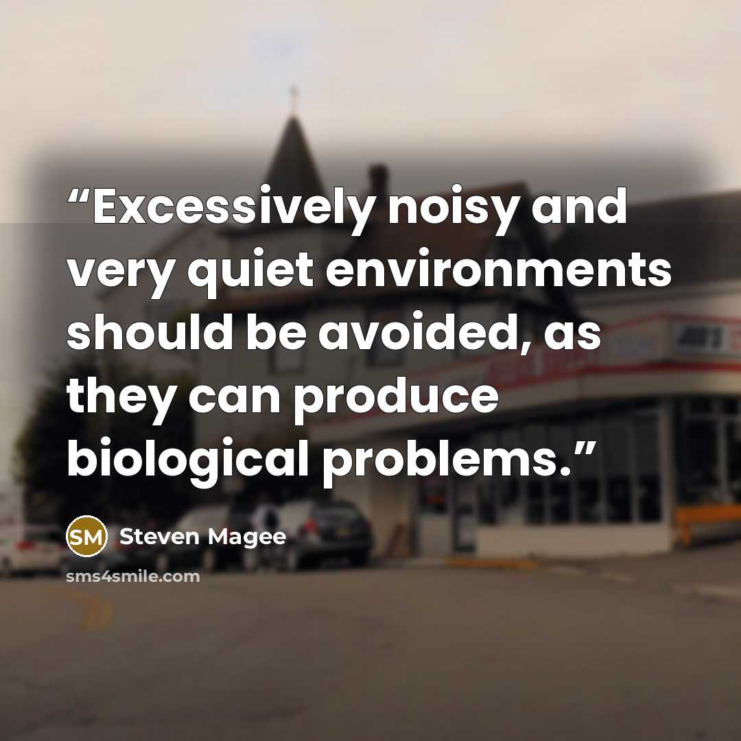 “Excessively noisy and very quiet environments should be avoided, as they can produce biological problems.” quote by Steven Magee